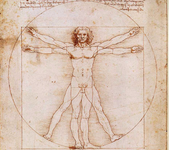 de mens van Vitruvian Leonardo Da Vinci